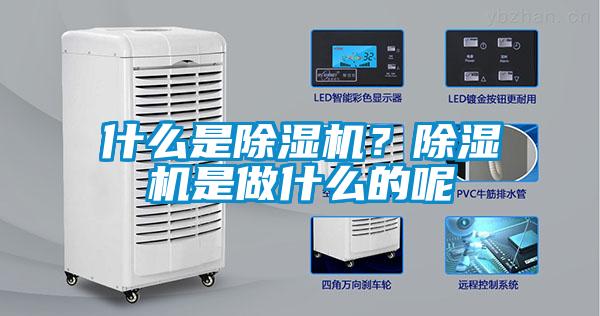 什么是粉色视频免费在线观看？粉色视频免费在线观看是做什么的呢