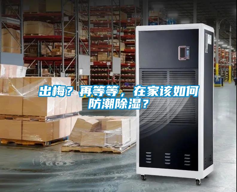 出梅？再等等，在家该如何防潮除湿？