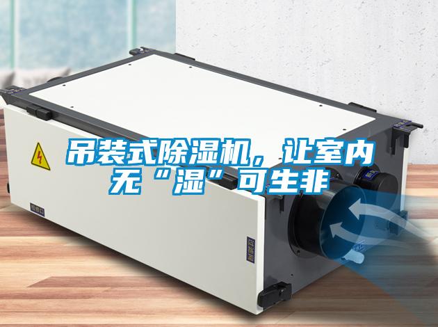 吊装式粉色视频免费在线观看，让室内无“湿”可生非
