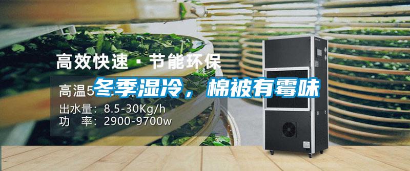 冬季湿冷，棉被有霉味