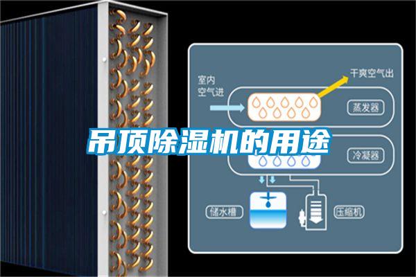 吊顶粉色视频免费在线观看的用途