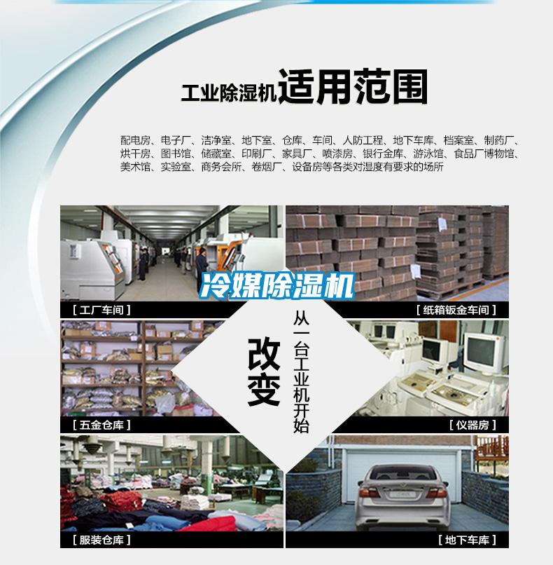 冷媒粉色视频免费在线观看