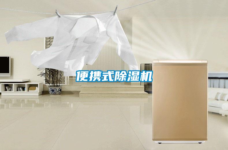 便携式粉色视频免费在线观看