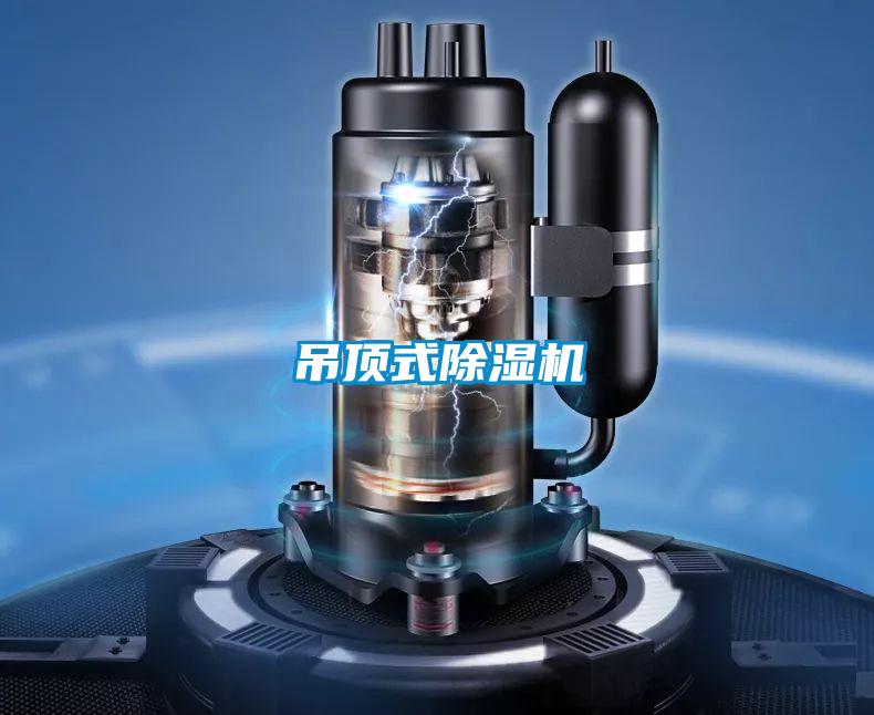 吊顶式粉色视频免费在线观看