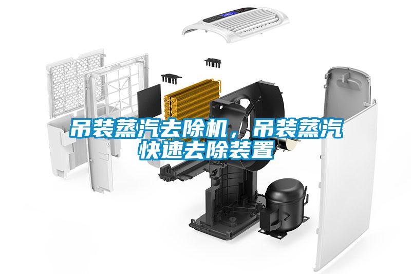 吊装蒸汽去除机，吊装蒸汽快速去除装置