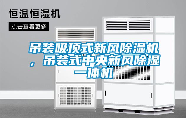 吊装吸顶式新风粉色视频免费在线观看，吊装式中央新风除湿一体机