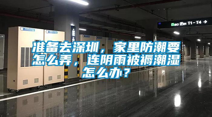 准备去深圳，家里防潮要怎么弄，连阴雨被褥潮湿怎么办？