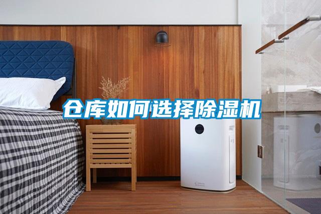 仓库如何选择粉色视频免费在线观看