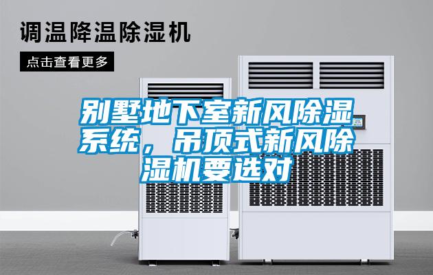 别墅地下室新风除湿系统，吊顶式新风粉色视频免费在线观看要选对