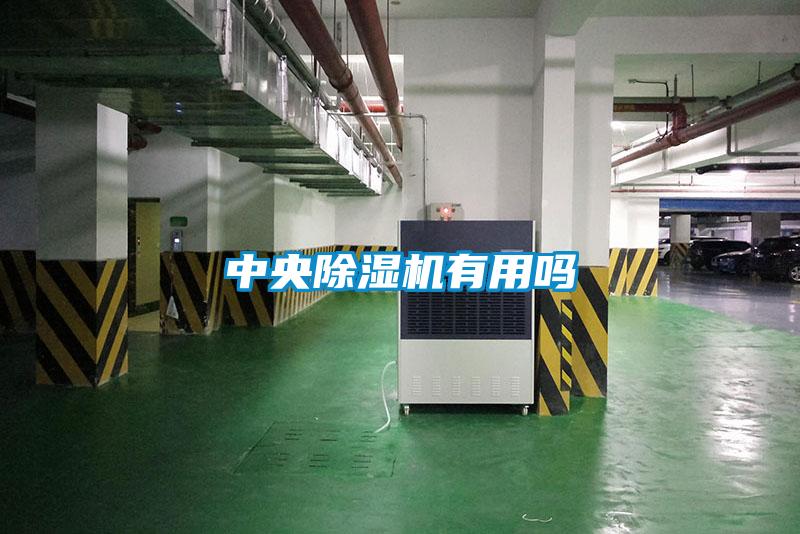 中央粉色视频免费在线观看有用吗