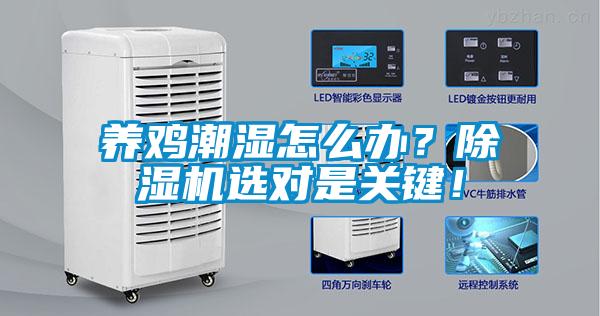 养鸡潮湿怎么办？粉色视频免费在线观看选对是关键！