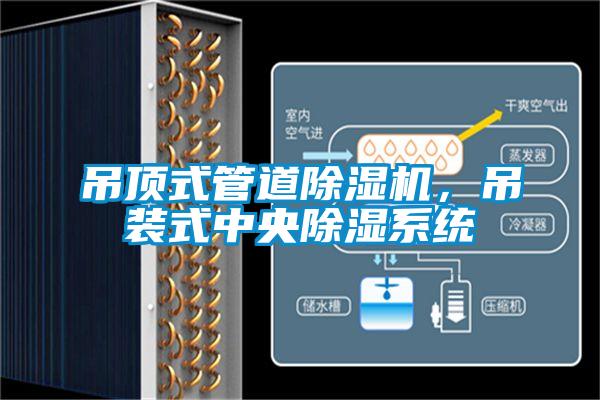 吊顶式管道粉色视频免费在线观看，吊装式中央除湿系统