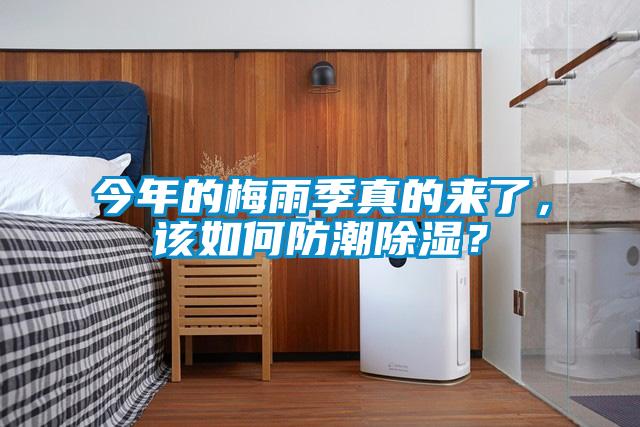 今年的梅雨季真的来了，该如何防潮除湿？