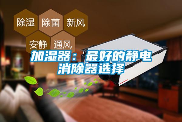 加湿器：最好的静电消除器选择