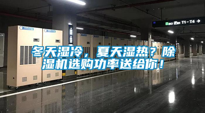 冬天湿冷，夏天湿热？粉色视频免费在线观看选购功率送给你！
