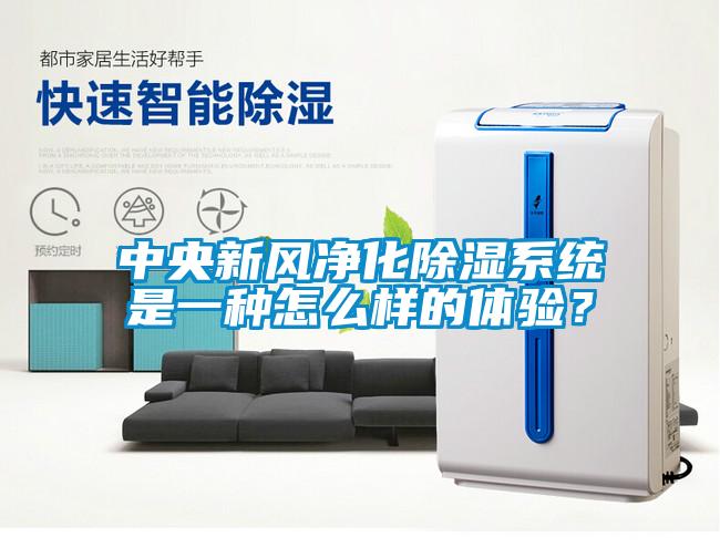 中央新风净化除湿系统是一种怎么样的体验？