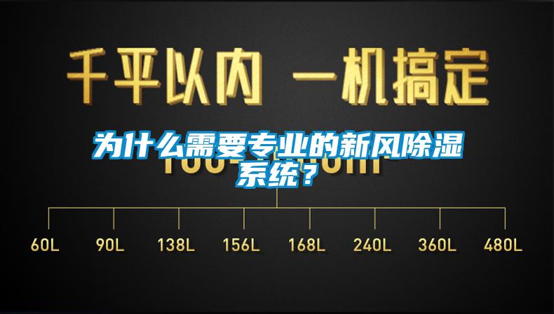 为什么需要专业的新风除湿系统？