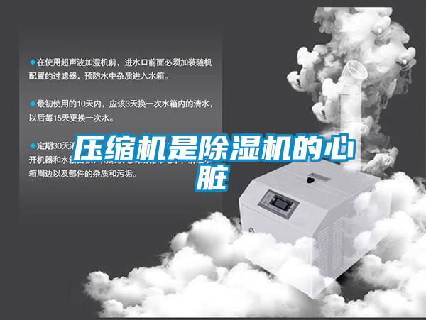 压缩机是粉色视频免费在线观看的心脏