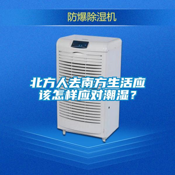 北方人去南方生活应该怎样应对潮湿？