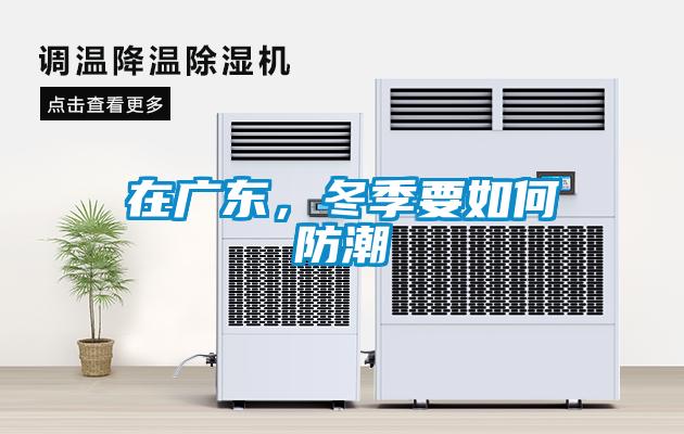 在广东，冬季要如何防潮