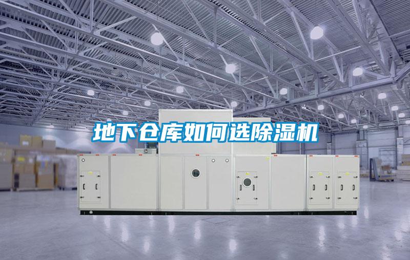 地下仓库如何选粉色视频免费在线观看