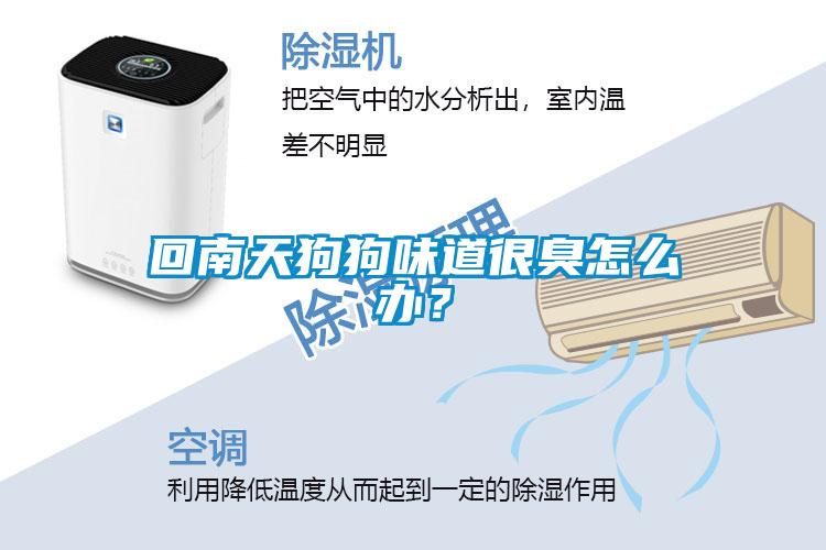 回南天狗狗味道很臭怎么办？