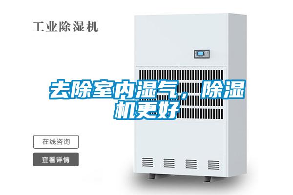 去除室内湿气，粉色视频免费在线观看更好