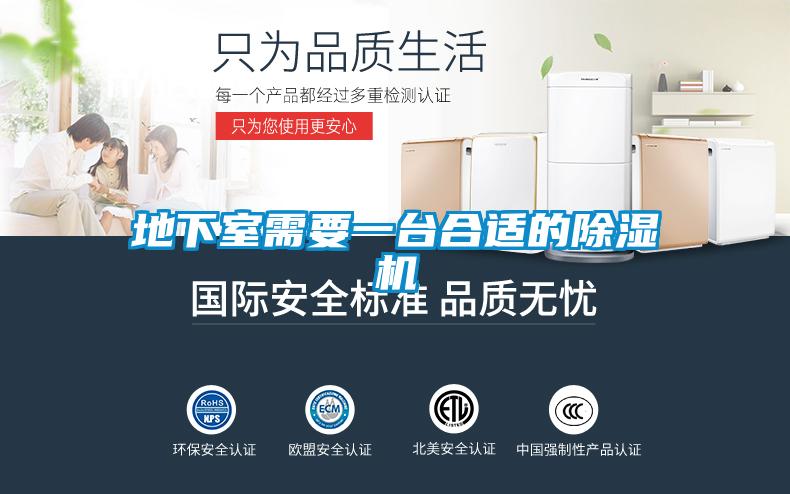 地下室需要一台合适的粉色视频免费在线观看