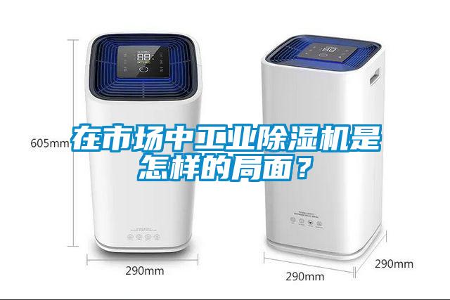 在市场中工业粉色视频免费在线观看是怎样的局面？