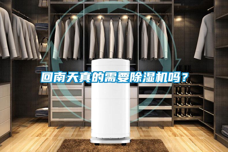 回南天真的需要粉色视频免费在线观看吗？