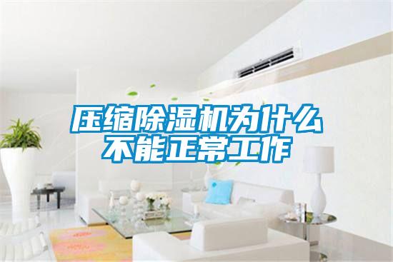 压缩粉色视频免费在线观看为什么不能正常工作