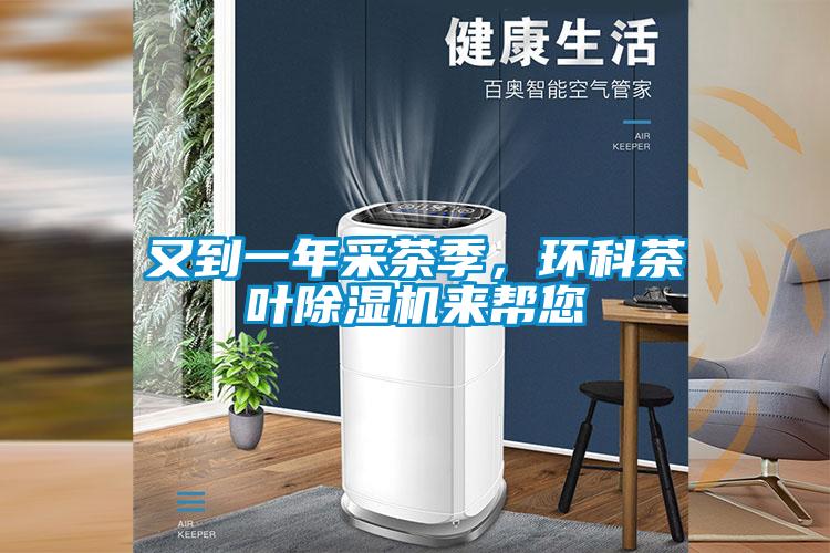 又到一年采茶季，环科茶叶粉色视频免费在线观看来帮您