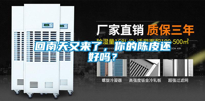回南天又来了，你的陈皮还好吗？