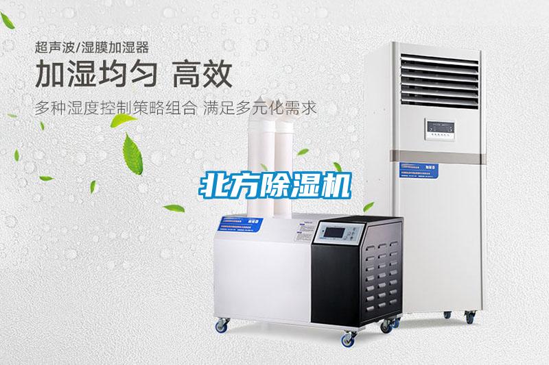北方粉色视频免费在线观看