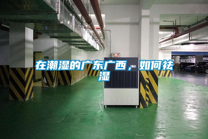 在潮湿的广东广西，如何祛湿