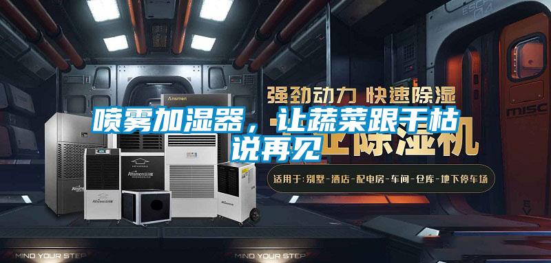 喷雾加湿器，让蔬菜跟干枯说再见
