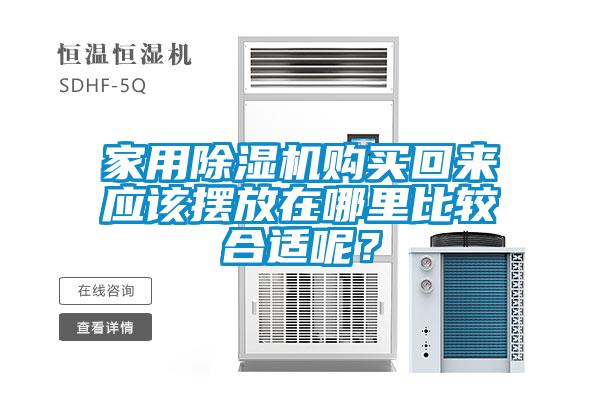 家用粉色视频免费在线观看购买回来应该摆放在哪里比较合适呢？