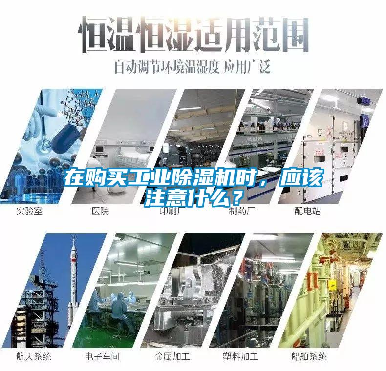 在购买工业粉色视频免费在线观看时，应该注意什么？