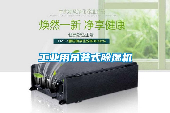 工业用吊装式粉色视频免费在线观看