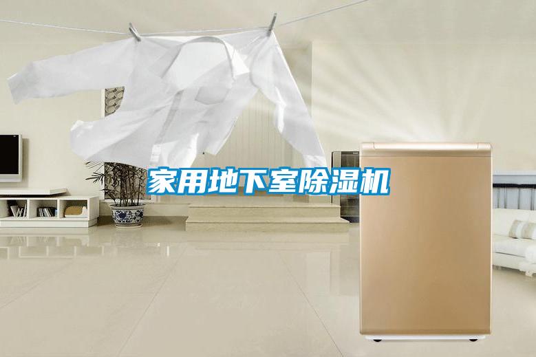 家用地下室粉色视频免费在线观看
