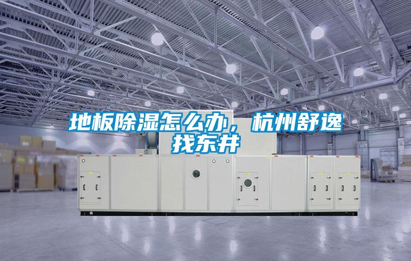 地板除湿怎么办，杭州舒逸找东井