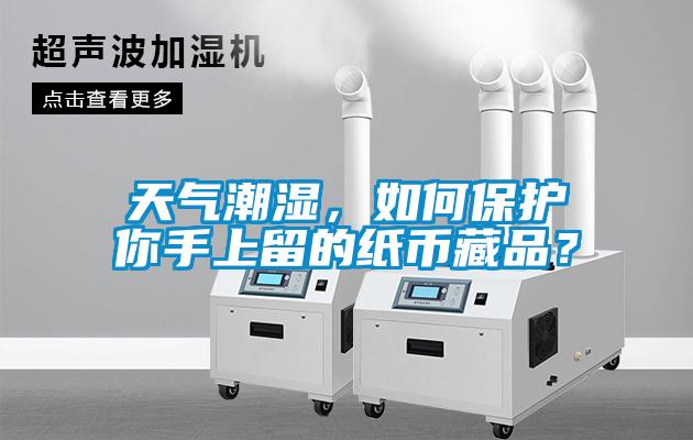 天气潮湿，如何保护你手上留的纸币藏品？