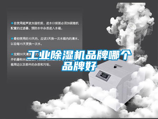 工业粉色视频免费在线观看品牌哪个品牌好