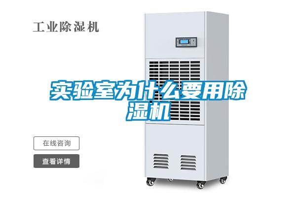 实验室为什么要用粉色视频免费在线观看