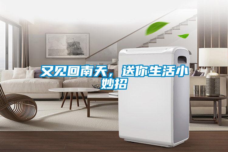 又见回南天，送你生活小妙招