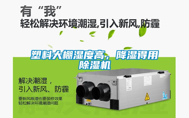 塑料大棚湿度高，降湿得用粉色视频免费在线观看