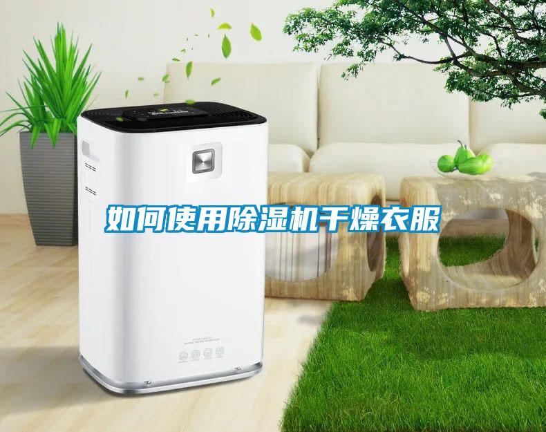 如何使用粉色视频免费在线观看干燥衣服