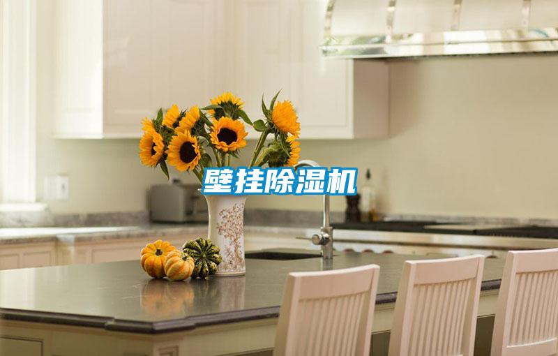 壁挂粉色视频免费在线观看