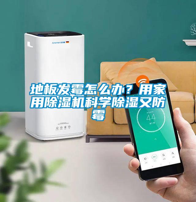 地板发霉怎么办？用家用粉色视频免费在线观看科学除湿又防霉