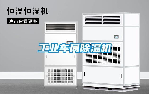 工业车间粉色视频免费在线观看